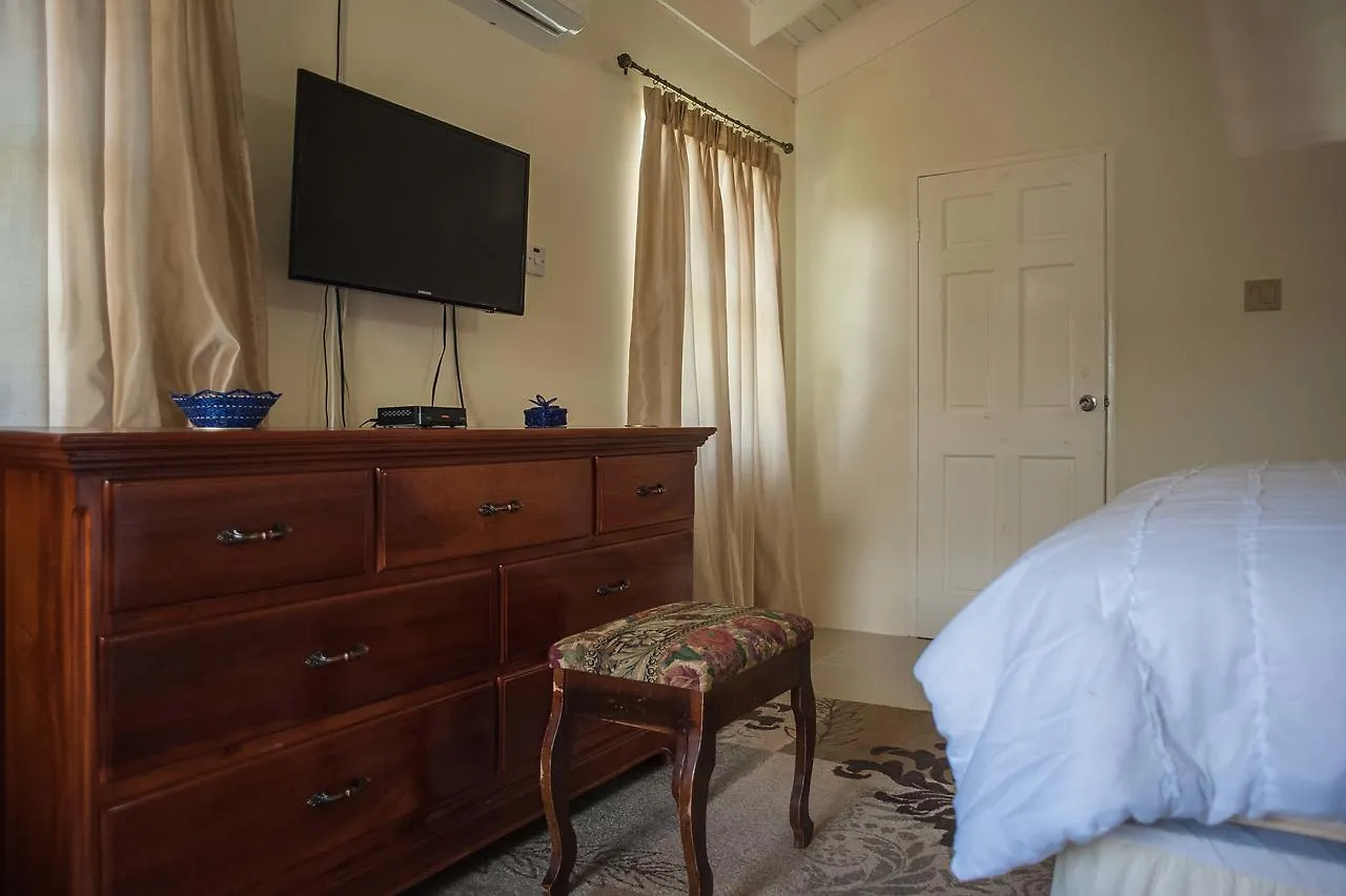 Pearl Island Cottage Ocho Rios Prázdninový dům